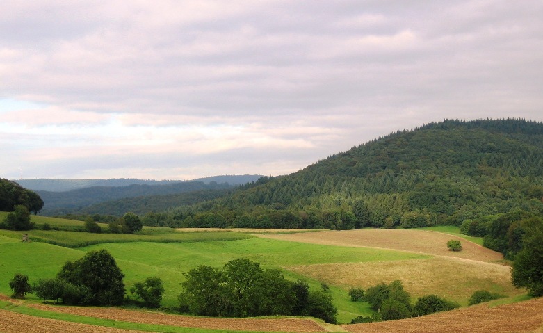 Abendhimmel 12-08-2016 - Kopie.jpg