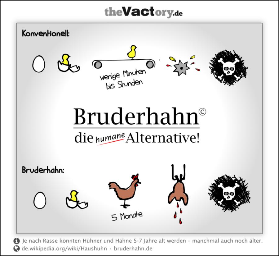 Bruderhahn.jpg