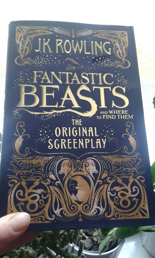 fantastic beasts.jpg