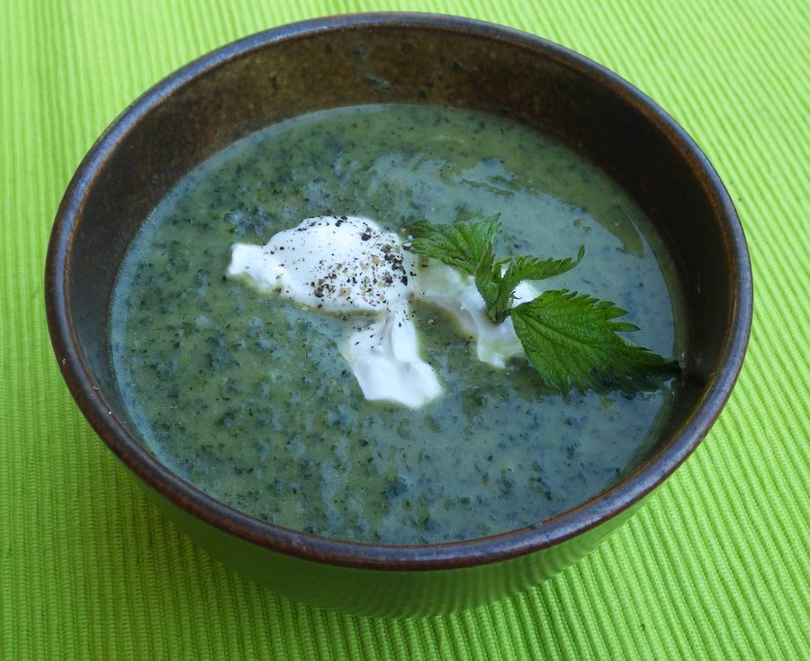 Brennesselsuppe.jpg