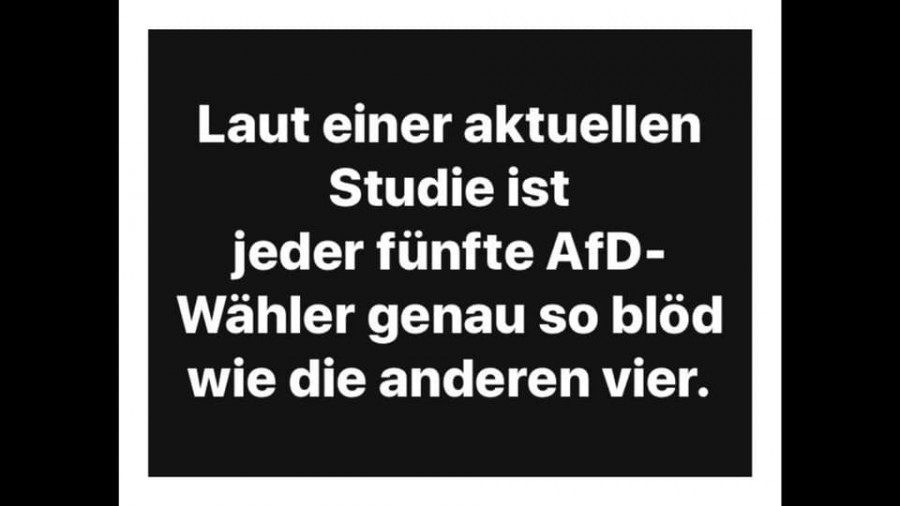 AfD_Wähler.jpg