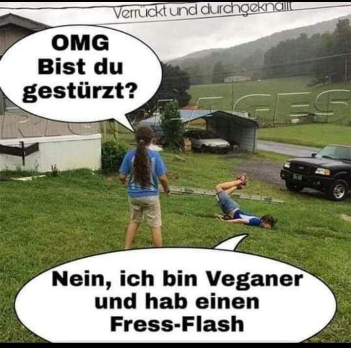 Fress-Flash.jpg
