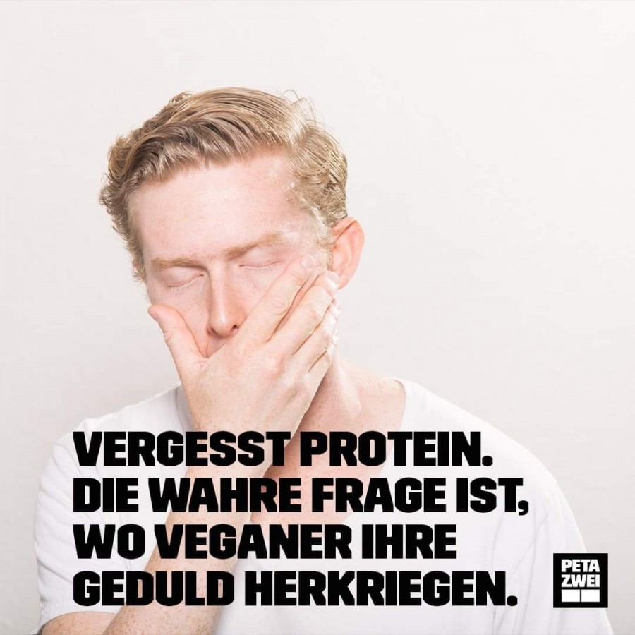 Die wahre Frage.jpg