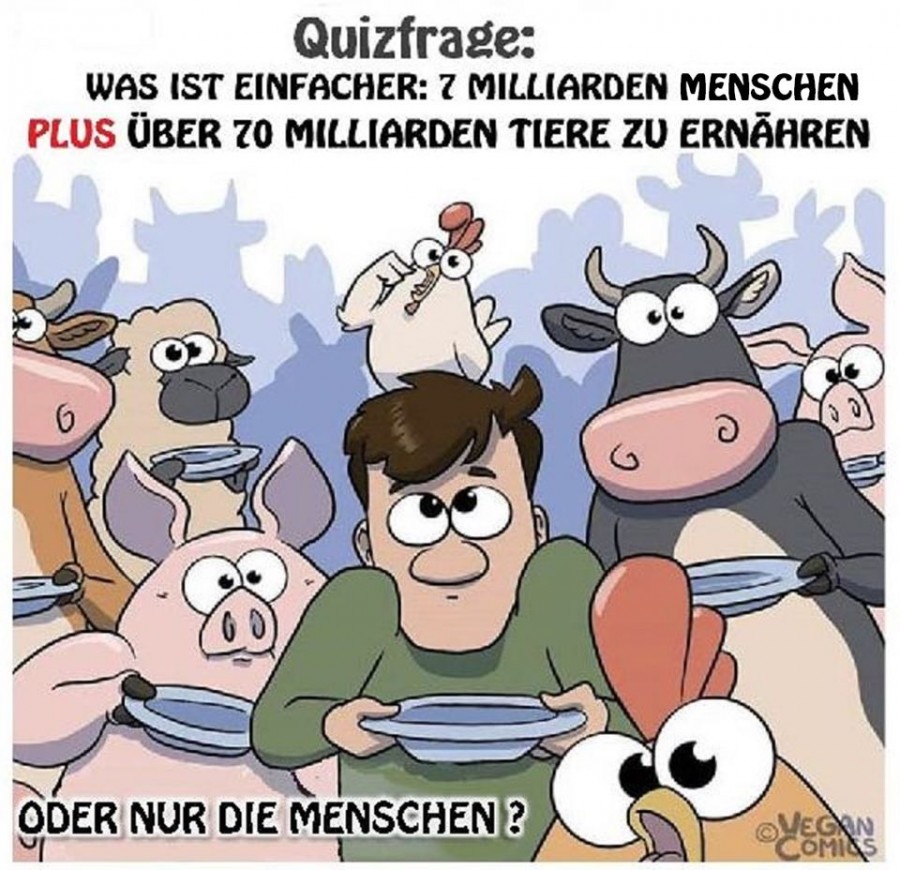 Quizfrage.jpg