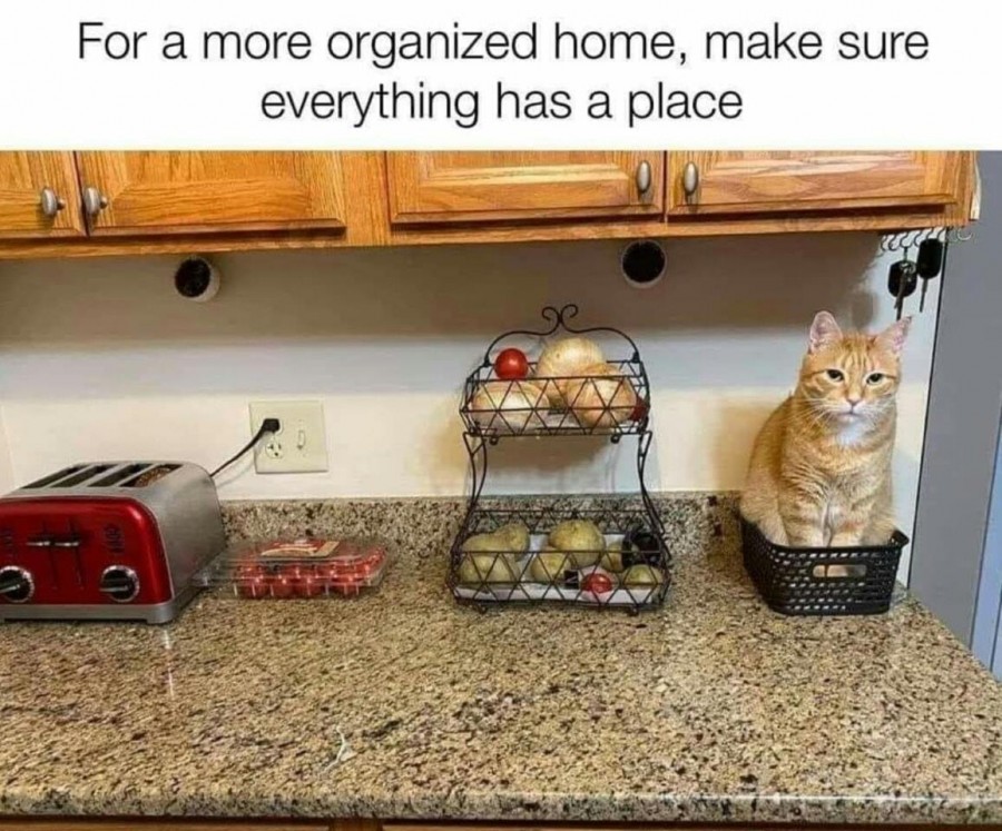 Organized home.jpg