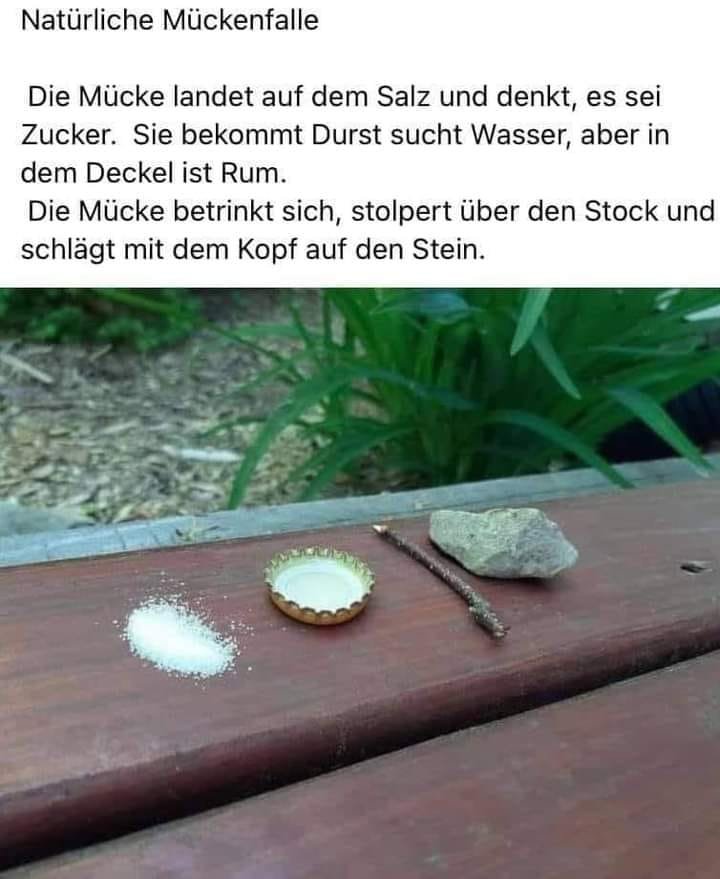 Mückenfalle.jpg