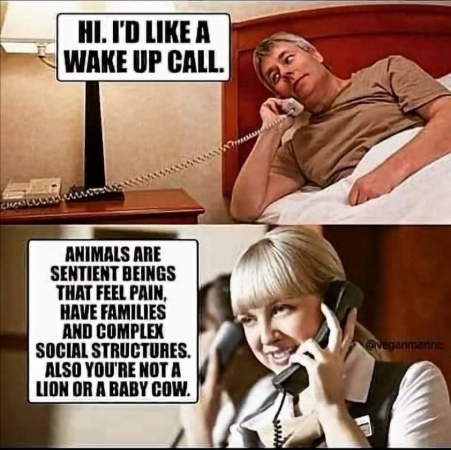 Wake-up-call.jpg