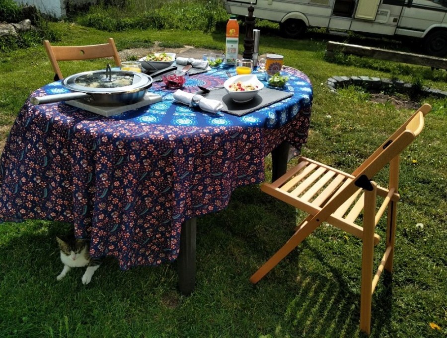 mittagessen_im_sonnenschein_sogar_mit_katze.jpg