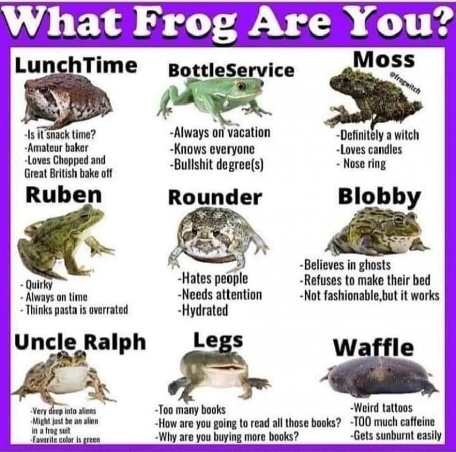 Frogs.jpg