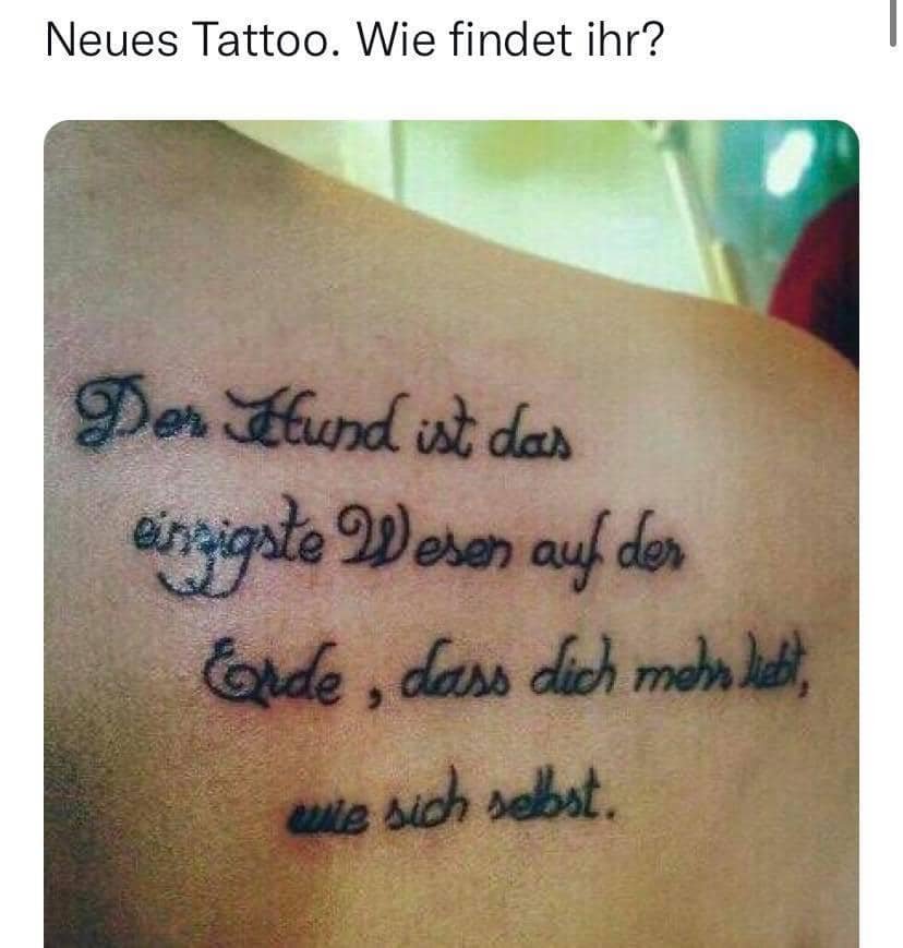 Tattoo_Hund.jpg