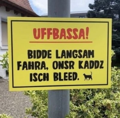 Kaddz isch bleed.jpg