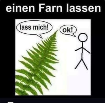 einen farn lassen_k.jpg