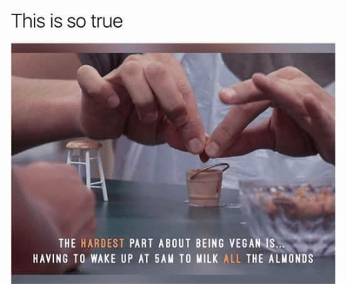 this-is-so-true-the-hardest-part-about-being-vegan-5963060.png
