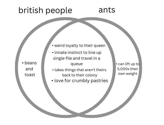 britishants.jpg