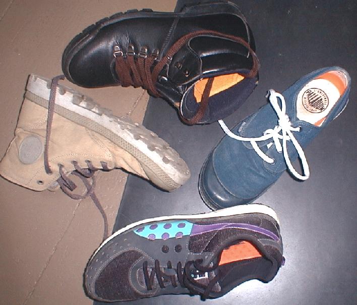noleather4shoes.jpg