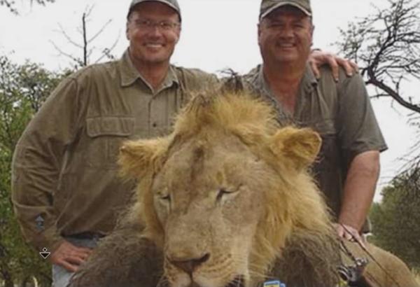 Walter James Palmer (links) mit einem getöteten Löwen.jpg